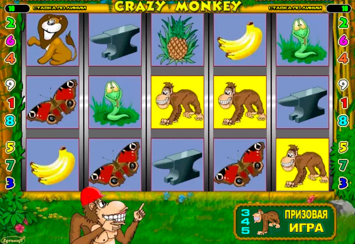 crazy monkey слот