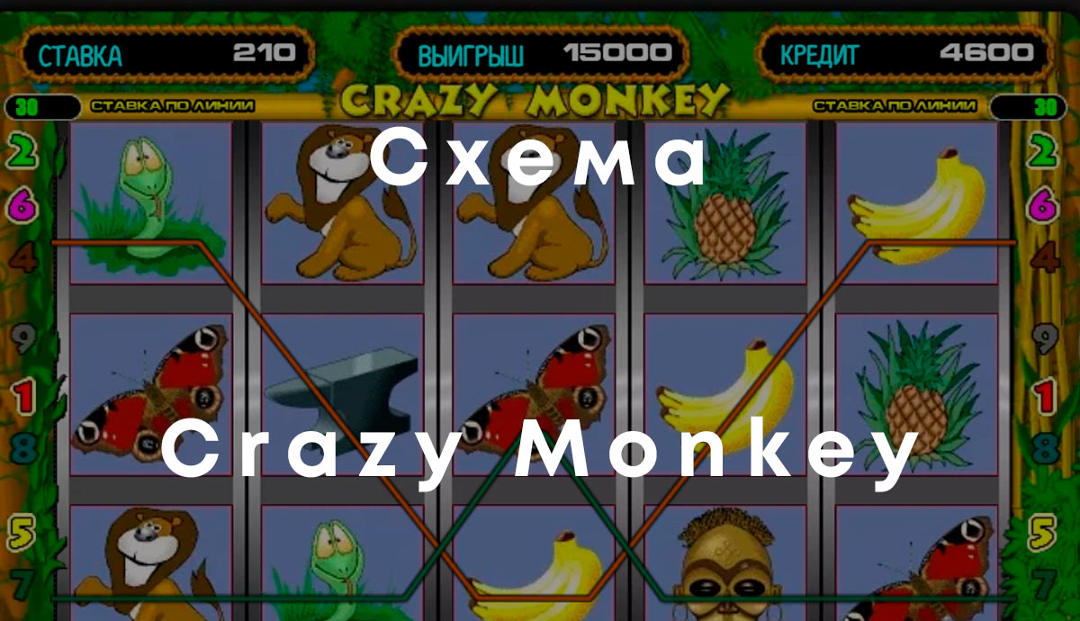 crazy monkey схемы